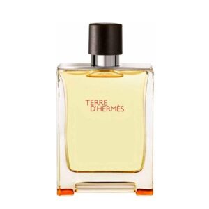 عطر ادکلن هرمس تق هرمس _ Hermes Terre d’Hermes 100 ml